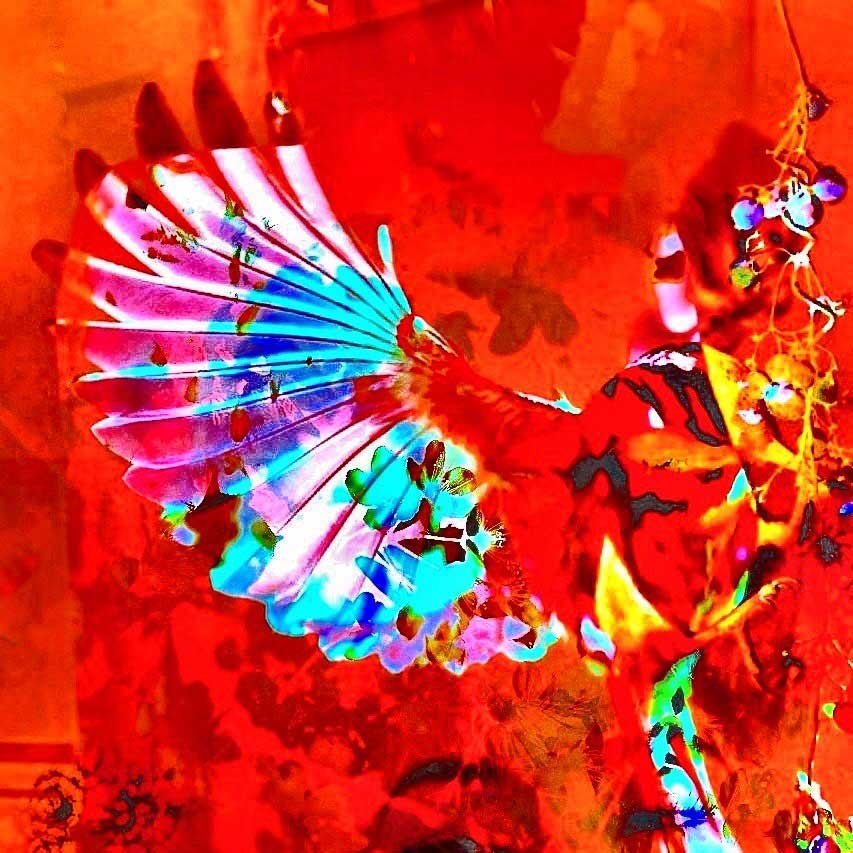 Züzü Art Zwischen Flügeln